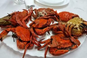 Taberna Sempre O Eixo