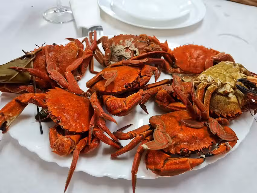 Taberna Sempre O Eixo