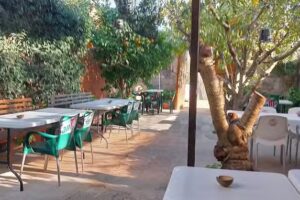 Tasca Gallega Il·legal