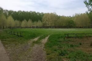 Teleclub Bar El Ed&eacute;n