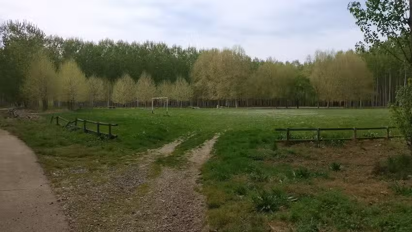 Teleclub Bar El Ed&eacute;n