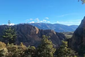 Terraza De Verano El Chiringuito