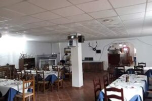 Terraza El Frenazo &laquo;Bar Nene&raquo;