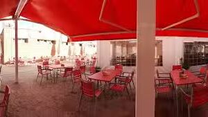 Terraza Moscard&oacute;