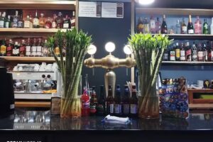 Terraza Rinc&oacute;n de Goya