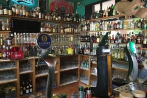 The Dog and Duck Pub