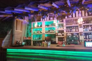 The Jungle Afromusic Sevilla