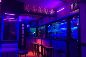 The Red Lion Late Lounge