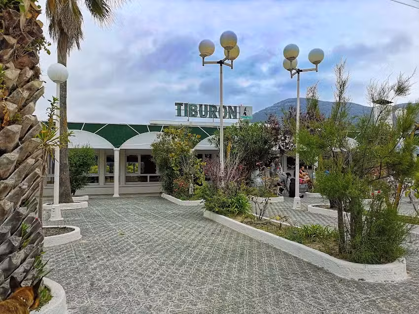 Tibur&oacute;n