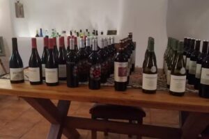 Tienda de Vinos y Cervezas