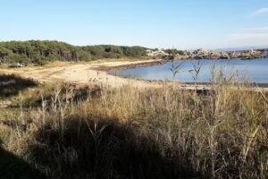 tropical teleclub playa honda