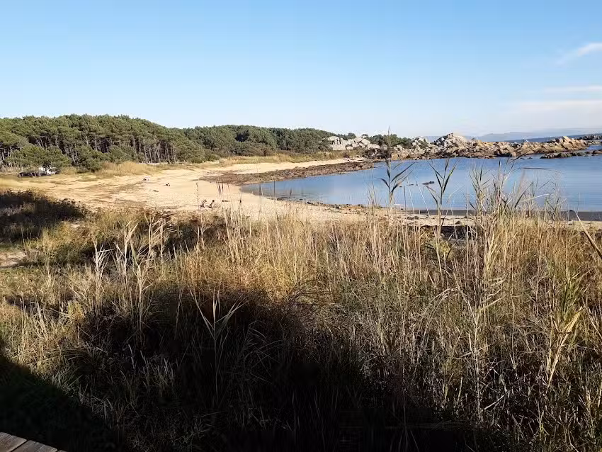 tropical teleclub playa honda