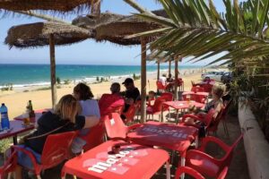 Trufi Bar/sells Erdinger,+good food menu