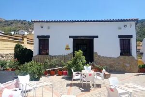 Venta la oveja negra