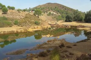 Venta Ruta 8 De Los Molinos