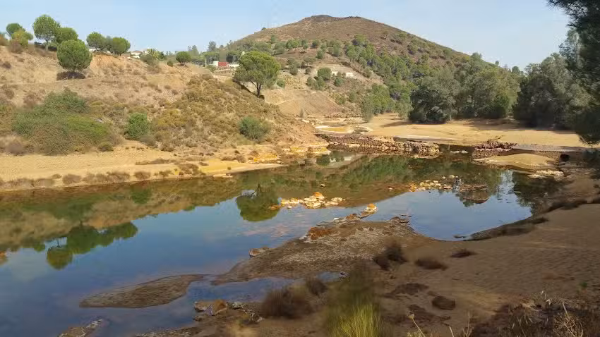 Venta Ruta 8 De Los Molinos