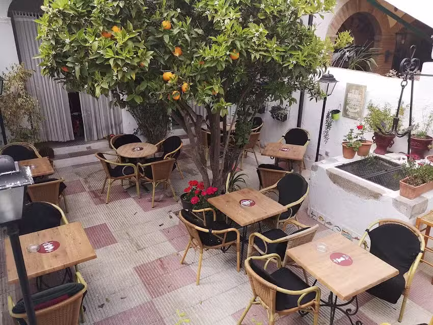 Vermuteria N&uacute;ria