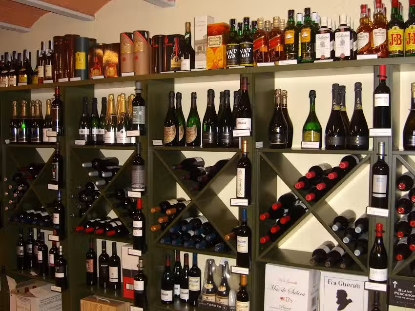 Vins Riera
