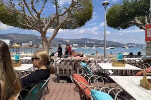 Zen Lounge Bar and Grill