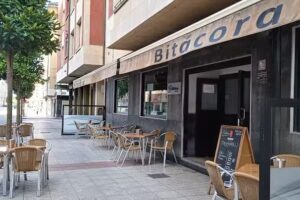 ZZenith Cervecería &Pub